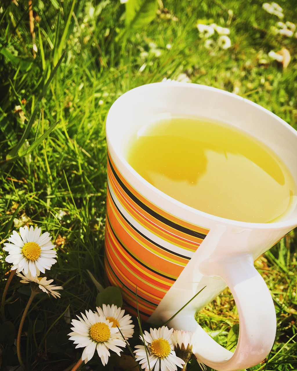 生活習慣の見直しポイント